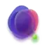 Qualea